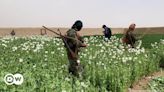 UN drug agency warns of opium shortage amid Taliban ban – DW – 06/26/2024