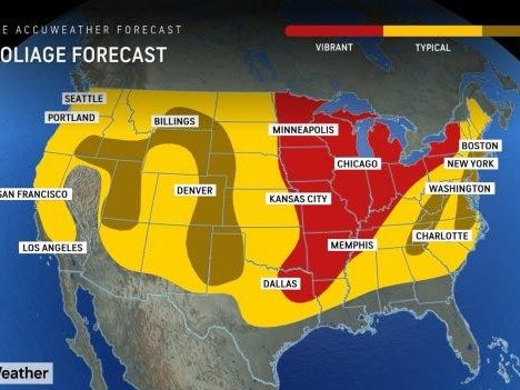 Will New England see 'vibrant' foliage this fall? What forecasters are saying about 2024