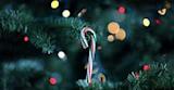 The Candy Cane's Surprise Meaning, History, and Symbolism ...