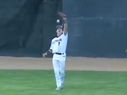 Umpire Ends College Summer League Game on Hilariously Obvious Dropped Fly Ball