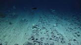 Qué es el “oxígeno oscuro” que se produce en el fondo del mar y cuáles son sus propiedades