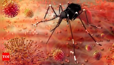 Decoding Zika virus: Symptoms, precautions, expert advice, all you need to know about Zika virus | Pune News - Times of India