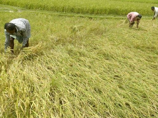 Monsoon: June rainfall disappoints but its July that’s crucial for food inflation