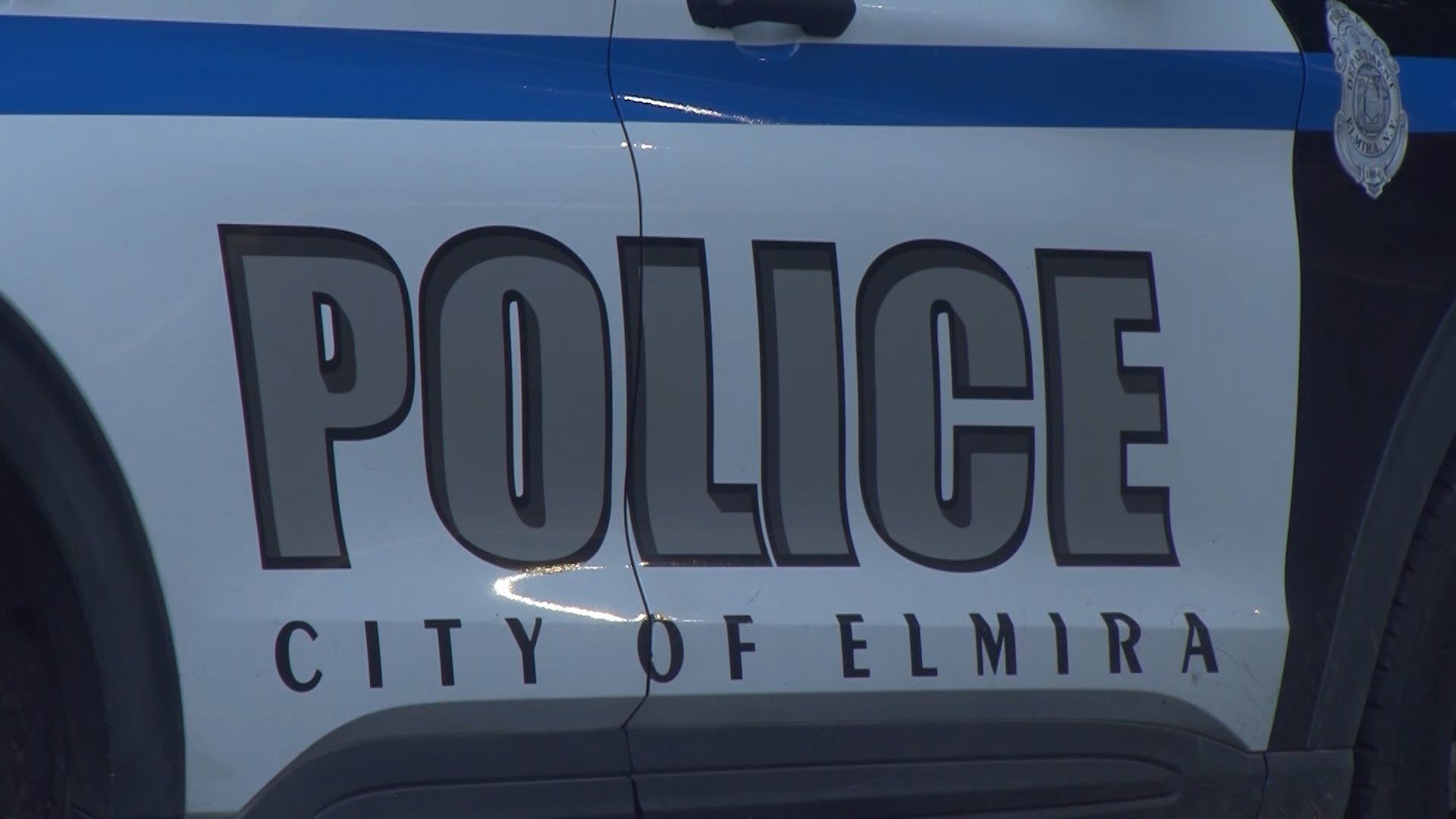 Elmira Police Release Officer Bodycam Footage in Dog Shooting Incident