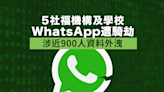 有機構及學校WhatsApp遭騎劫近九百人資料外洩