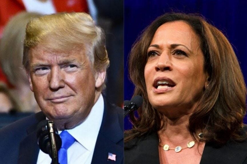 Trump Vs Harris: This Candidate Has The Edge In Latest Swing State Polls