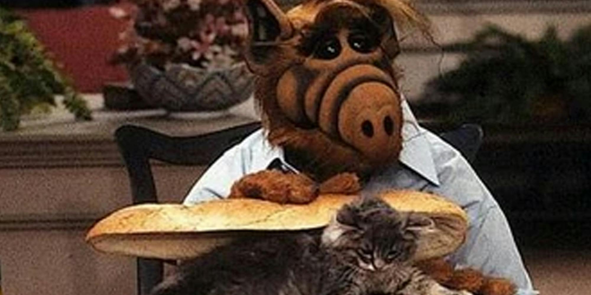 'ALF eating a cat sandwich' memes surge following Trump's 'eating pets' claim