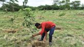 6.7 million saplings to be planted in Delhi