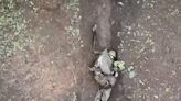 Dramatic video shows Russian soldier grabbing and tossing away Ukrainian grenades moments before they explode