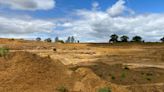 Plant species recorded in Bedfordshire for first time in restored quarry land