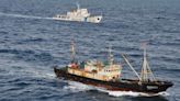 Pesca ilegal y Prefectura: procedimientos aplicados, cuántos buques han sido capturados y a qué naciones responden