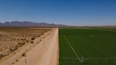 Saudi firm that grows hay in California and Arizona to lose farm leases over water issue