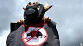 Colombia Congress Passes Bill Banning Bullfighting