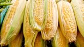 Garden: Growing sweet corn in the home garden