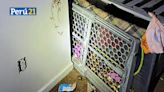 ¡De terror! Niño de 2 años es hallado con costillas rotas dentro de una jaula en casa de su madre