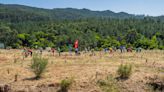 CTT e Quercus assinalaram Dia Mundial do Ambiente com plantação de árvores autóctones