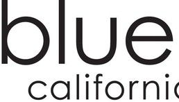 Blue Shield of California celebra el 5º aniversario de Wellvolution, su galardonada plataforma digital de salud, y suma programas nuevos para el control del peso y la diabetes