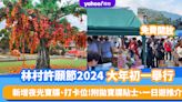 林村許願節2024｜「林村許願嘉年華」大年初一舉行！免費開放 新增夜光寶牒、打卡位 附拋寶牒貼士、一日遊推介