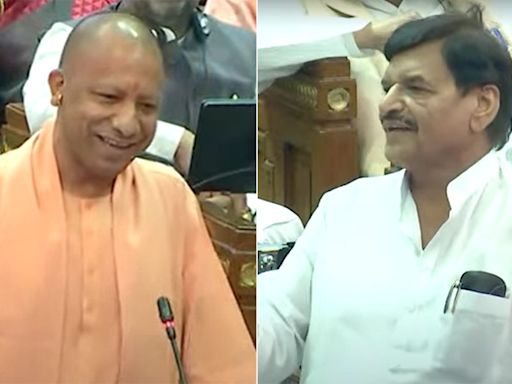 Yogi Adityanath Takes Dig At Akhilesh Yadav's Uncle, Gets A "Deputy" Reply