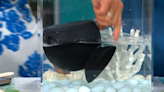 CBS Mornings Deals: Save 30% on certified waterproof speakers