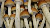 Gavin Newsom risks being ‘Gov. Mushroom’ if he decriminalizes hallucinogens in California | Opinion