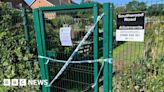 Tunbridge Wells: Teenagers bailed after allotments death