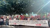 CCOO, UGT y REDES anuncian la huelga en el campo si las patronales no negocian para desbloquear el convenio colectivo