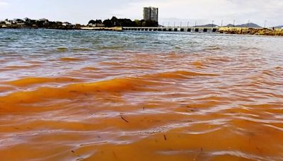 Qué pasa si me meto al mar con marea roja