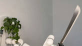 Houseplant controls machete with robotic arm