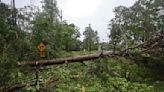 3 tornadoes confirmed in Tallahassee after severe weather; woman killed