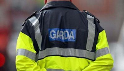 Man (70s) arrested over trespassing and threatening behaviour in Dublin - Homepage - Western People