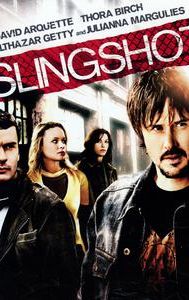 Slingshot (2005 film)