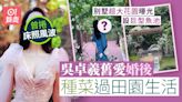 吳卓羲舊愛婚後種花種菜過田園生活 别墅超大花園曝光設巨型魚池