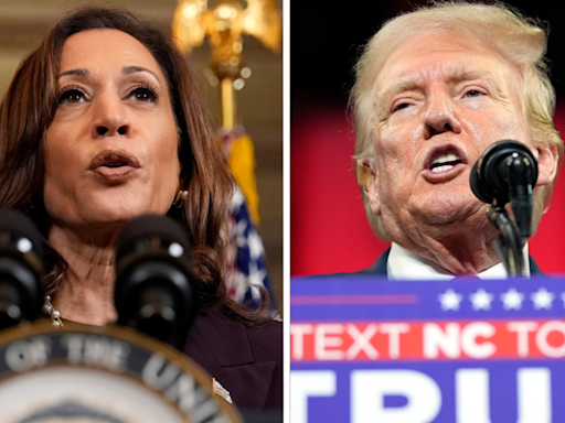 Trump vows to ‘unleash hell’ on Harris at Atlanta rally