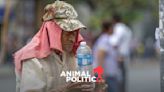 IMSS confirma cuatro muertes por golpe de calor en San Luis Potosí