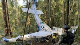 Losing hope of finding kids in plane crash, Indigenous searchers turned to a ritual: Ayahuasca