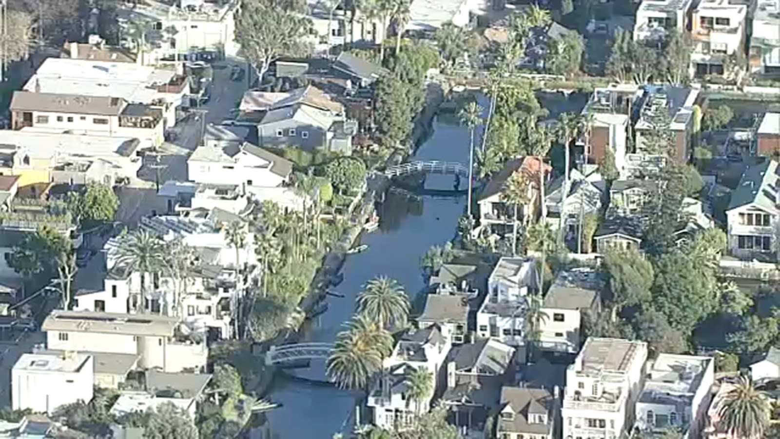 Woman declared brain dead after vicious attack near Venice canals