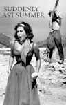 Suddenly, Last Summer (film)