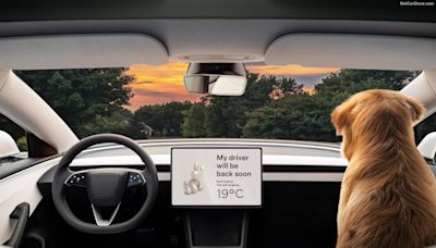 Avis aux propriétaires de Tesla : le mode "animal de compagnie" est déconseillé