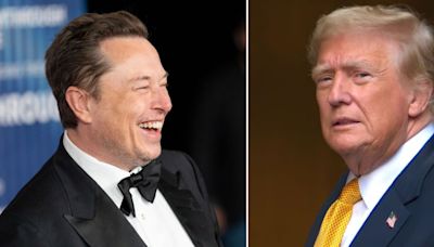 Weniger staatliche Vorgaben - Elon Musk will durchstarten und setzt deshalb auf Trump