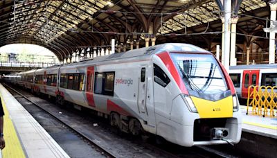 Person dies after being hit by train near Waltham Cross causing major disruption