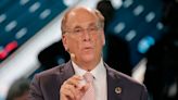 BlackRock's Larry Fink thinks most crypto companies will go out of business in the wake of FTX's collapse