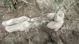 'They are very well aware of their agency': Elephant calf burial ritual discovered in India