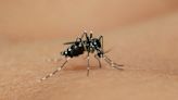 Health officials 'concerned' about West Nile virus outbreak in US