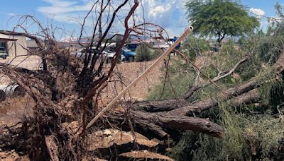 Tornado touches down in Tucson, officials confirm