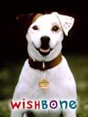 Wishbone, il cane dei sogni