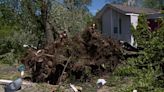 Powerful storms around region expose potential hidden hazards trees pose