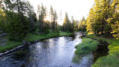 Additional fishing closures announced in Yellowstone National Park due to high water temps and low river flows - East Idaho News