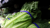 Canada's lettuce problem: What a $15 bag of romaine says about our food system