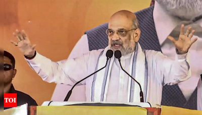 Amit Shah's remarks on Bangladesh migrants deplorable: Dhaka | India News - Times of India